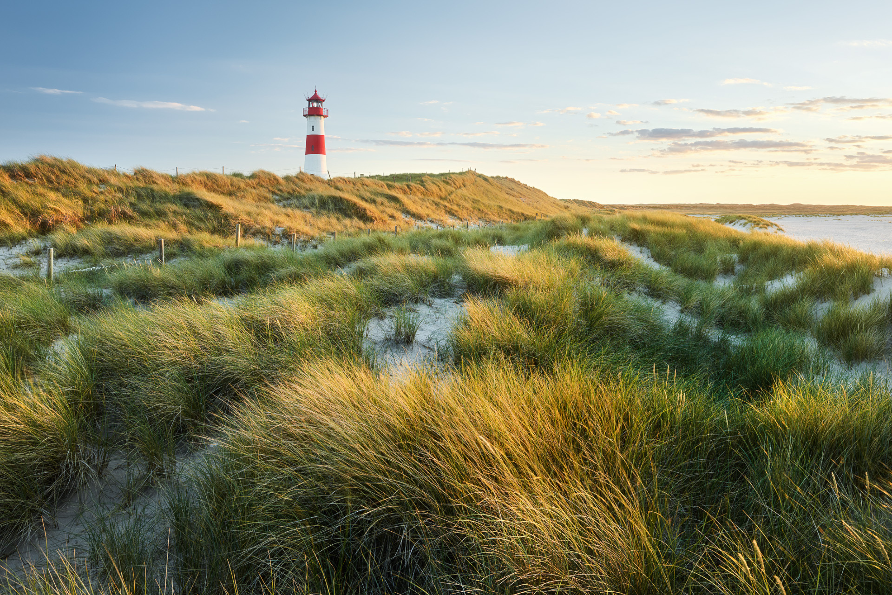 © Sylt Marketing I Rainer Mirau