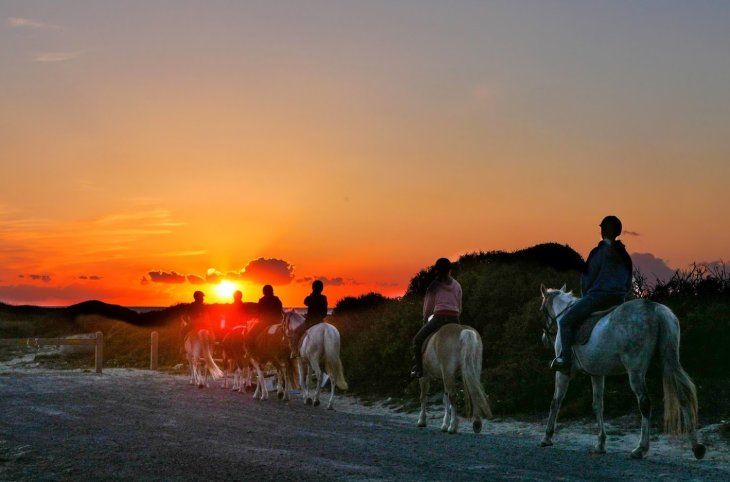 Horse Country Resort <div class="m-page-header__rating"><span class="m-page-header__rating--star"></span><span class="m-page-header__rating--star"></span><span class="m-page-header__rating--star"></span><span class="m-page-header__rating--star"></span></div>