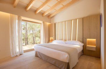 Suite Luxury