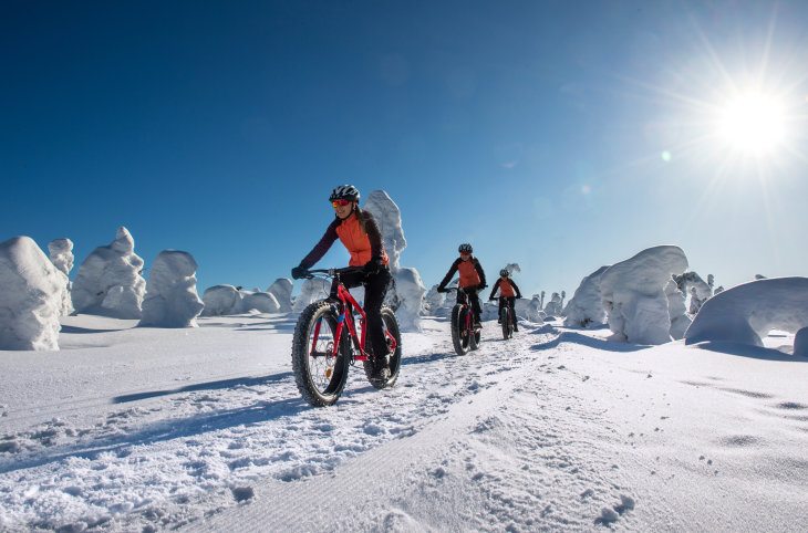 Winterzauber in Finnisch Lappland