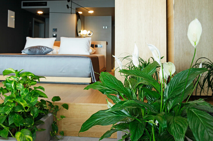 Lifestyle Hotel Vitar <div class="m-page-header__rating"><span class="m-page-header__rating--star"></span><span class="m-page-header__rating--star"></span><span class="m-page-header__rating--star"></span><span class="m-page-header__rating--star"></span></div>