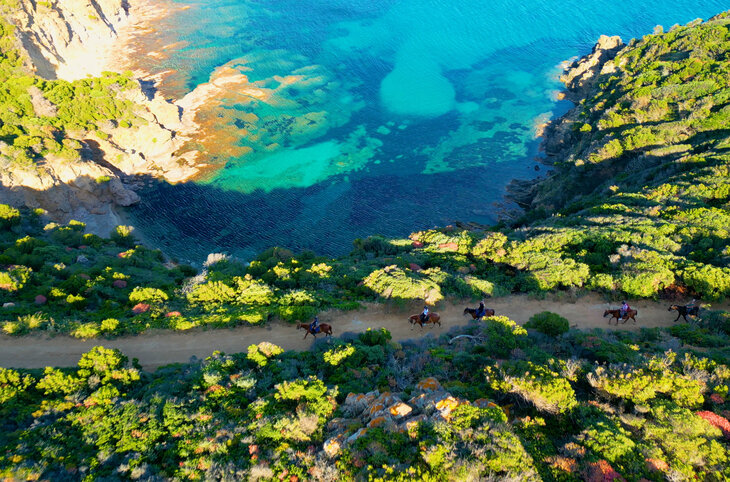 Veridia Resort <div class="m-page-header__rating"><span class="m-page-header__rating--star"></span><span class="m-page-header__rating--star"></span><span class="m-page-header__rating--star"></span><span class="m-page-header__rating--star"></span></div>