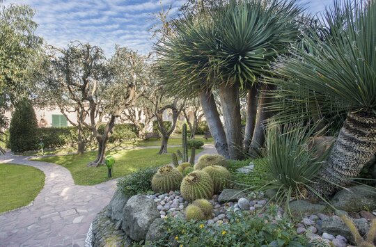 Erlebnisreise Ischia - Hotel Tritone Terme ****