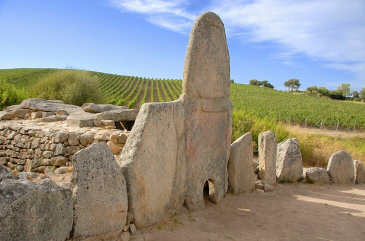 Klassische Inselrundfahrt mit dem Bus