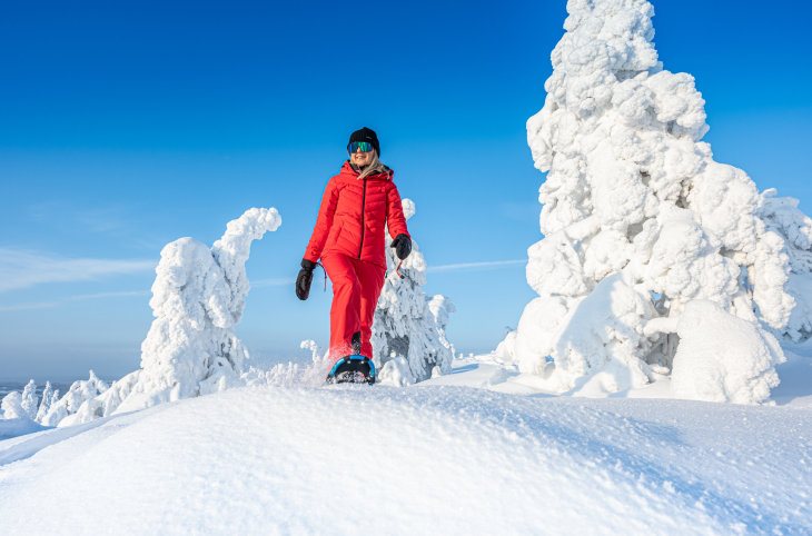 Winterzauber in Finnisch Lappland