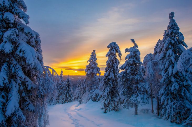 Winterzauber 2026 in Finnisch Lappland