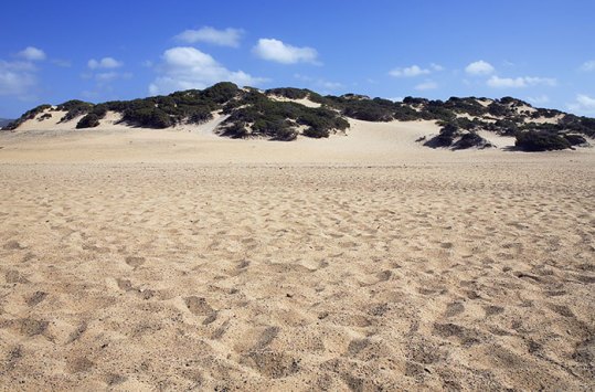 Breiter Sandstrand mit Düne an der Costa Verde auf Sardinien