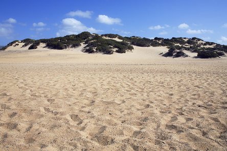 Breiter Sandstrand mit Düne an der Costa Verde auf Sardinien