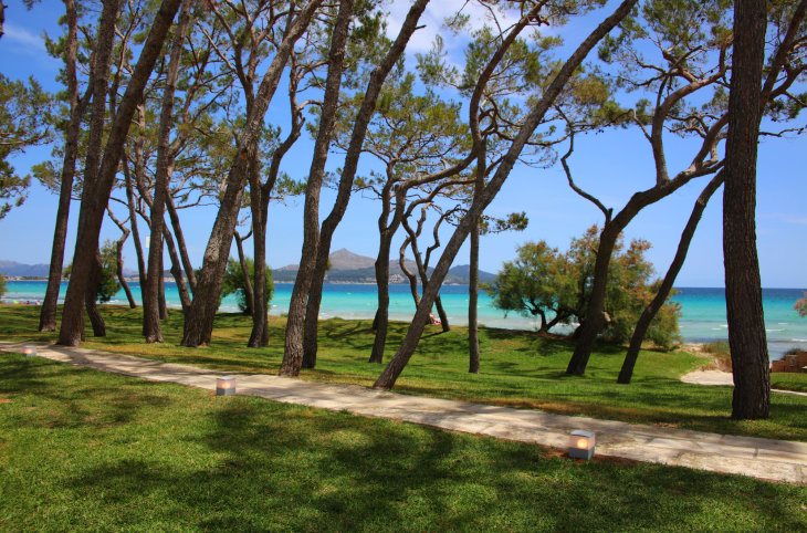 Iberostar Waves Playa de Muro <div class="m-page-header__rating"><span class="m-page-header__rating--star"></span><span class="m-page-header__rating--star"></span><span class="m-page-header__rating--star"></span><span class="m-page-header__rating--star"></span></div>