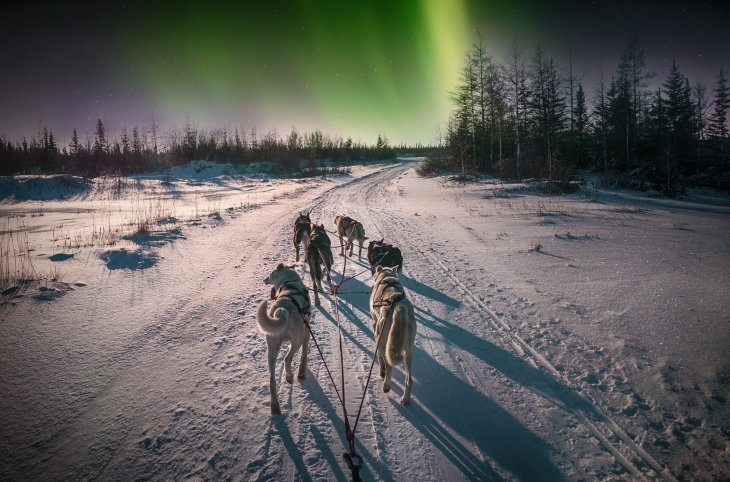 Winterzauber in Finnisch Lappland