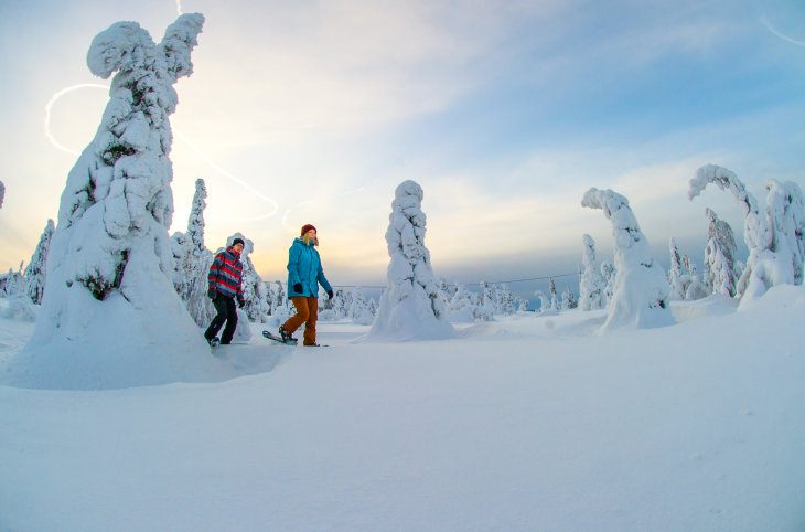 Winterzauber in Finnisch Lappland