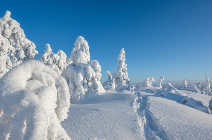 Winterzauber in Finnisch Lappland