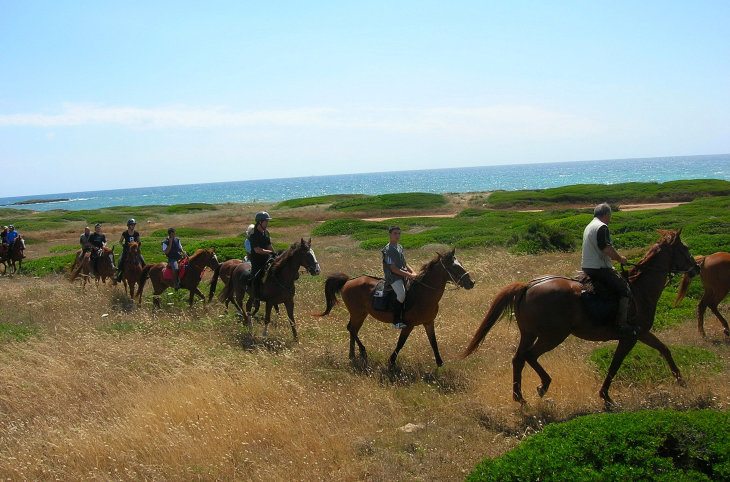 Horse Country Resort <div class="m-page-header__rating"><span class="m-page-header__rating--star"></span><span class="m-page-header__rating--star"></span><span class="m-page-header__rating--star"></span><span class="m-page-header__rating--star"></span></div>