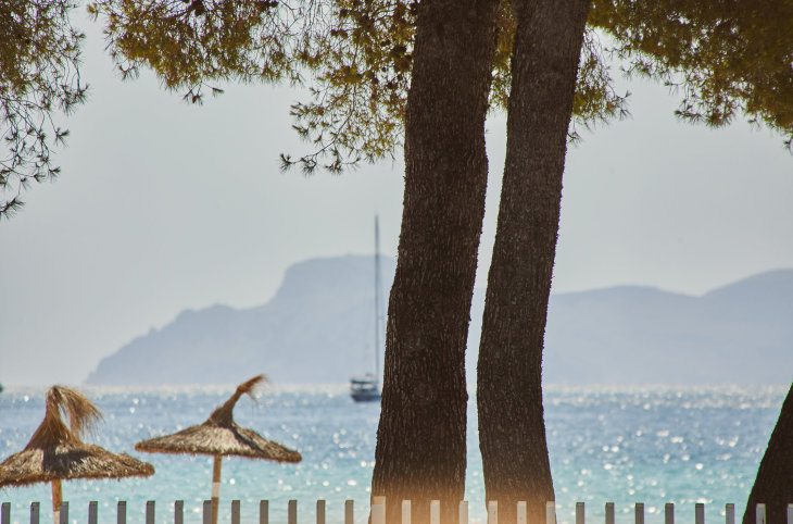 Sofia Alcudia Beach Hotel <div class="m-page-header__rating"><span class="m-page-header__rating--star"></span><span class="m-page-header__rating--star"></span><span class="m-page-header__rating--star"></span><span class="m-page-header__rating--star"></span></div>