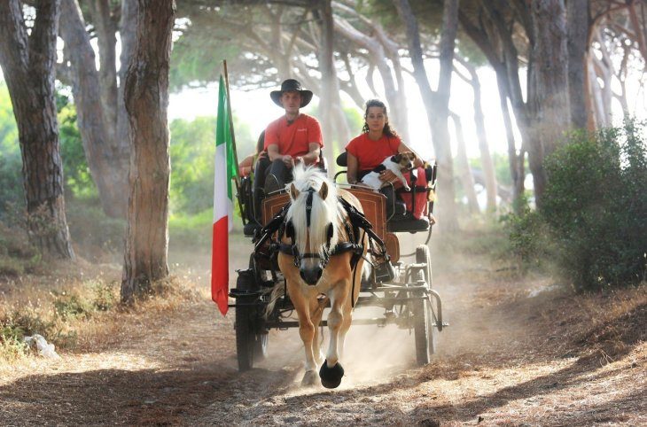 Horse Country Resort <div class="m-page-header__rating"><span class="m-page-header__rating--star"></span><span class="m-page-header__rating--star"></span><span class="m-page-header__rating--star"></span><span class="m-page-header__rating--star"></span></div>