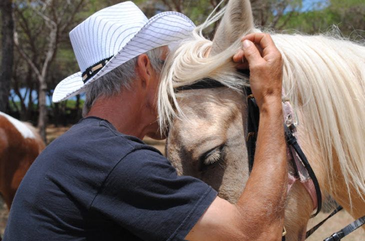 Horse Country Resort <div class="m-page-header__rating"><span class="m-page-header__rating--star"></span><span class="m-page-header__rating--star"></span><span class="m-page-header__rating--star"></span><span class="m-page-header__rating--star"></span></div>