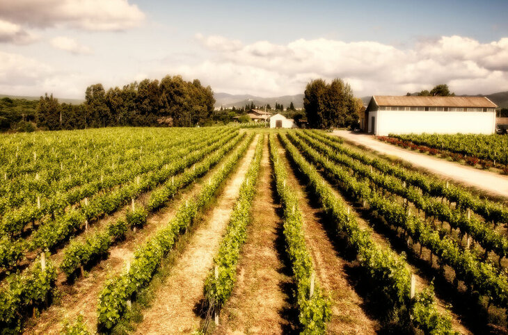 Busrundreise Sardinien Wein & Kultur