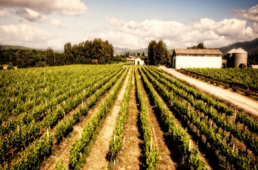 Busrundreise Sardinien Wein & Kultur