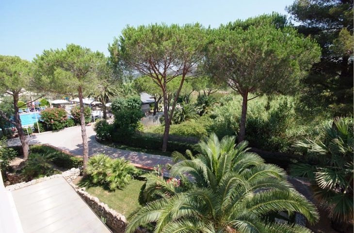 Dei Coralli <div class="m-page-header__rating"><span class="m-page-header__rating--star"></span><span class="m-page-header__rating--star"></span><span class="m-page-header__rating--star"></span></div>