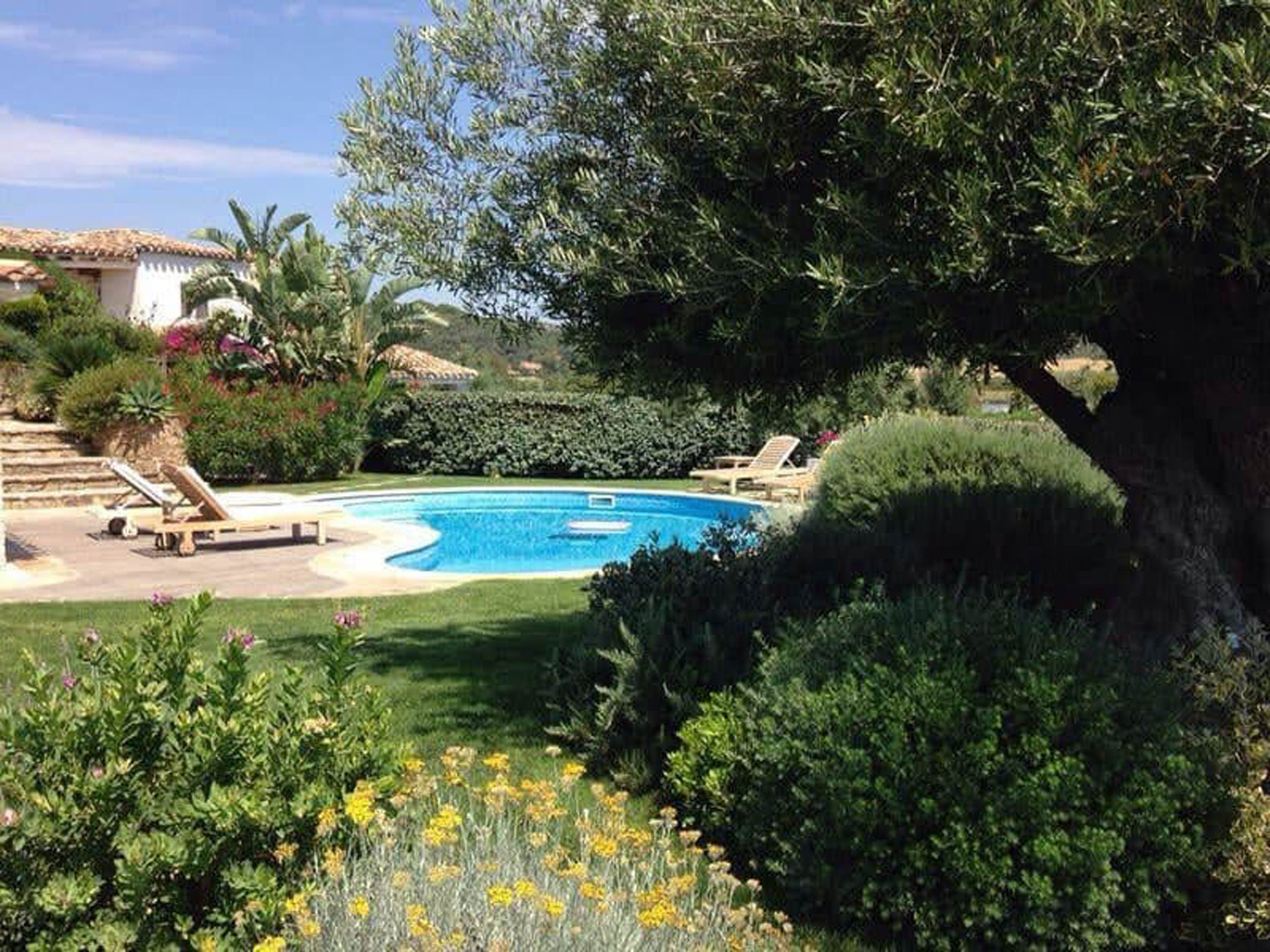 Bougainvillea mit Privatpool